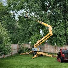 Best Commercial Tree Services  in Delft Colony, CA