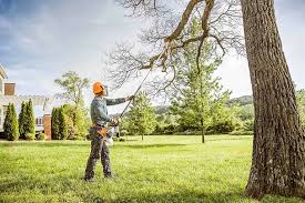 Best Lawn Grading and Leveling  in Delft Colony, CA